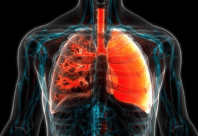 Therapeutic Roads Less Traveled: Exploring Signaling Pathways for New and Emerging Therapies for Pulmonary Fibrosis